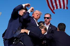 Trump Fight