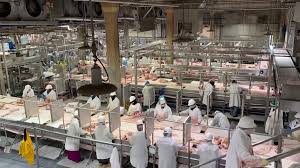 Maet Packing Plants